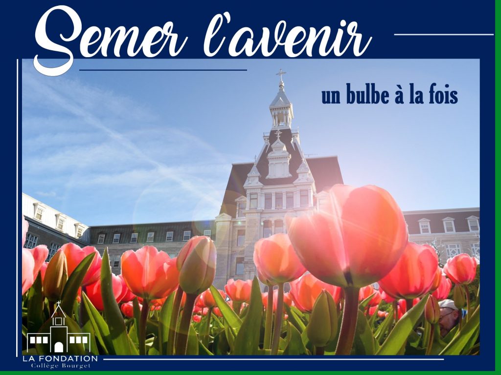 Un terrain rempli de tulipes devant l'entrée principale du Collège Bourget : semer l'avenir un bulbe à la fois, c'est-à-dire un enfant à la fois